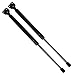 Maxpow Liftgate Lift Supports Tailgate Hydraulic Struts Shocks Hatch Support Compatible With Mitsubishi Montero 1997 1998 1999 2000 2001 2002 2003 2004 2005 2006 4554, Pack of 2