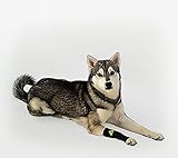 Canine Dogs Compression Sleeve Injury Support fatigue, joint, tendon and ligament laxity (instability) (Black, X-Small)