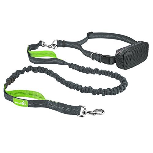 Pecute Hands Free Dog Leash Double Handle Leash with Zipper Pouch -Extendable Bungee with Reflective Stitching - Detachable Waist Belt up to 48” Waist - for Jogging, Running, Hiking (Grey + Green)