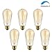 SHINE HAI Vintage Edison Bulb 60W, Antique Style ST64 Squirrel Cage Filament, 300 Lumens, Dimmable Classic Design, E26 Medium Base 2300K, Pack of 6