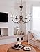Bel Air Lighting TG9015 ROB Traditional Five Chandelier Outdoor-Post-Lights, Bronze/Dark