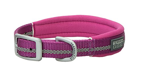 Terrain D.O.G. Reflective Neoprene Lined Dog Collar