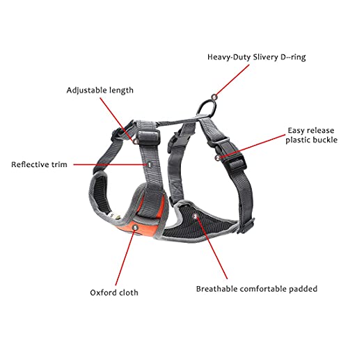 Dog Harness with Leash, Adjustable with Reflective Strips for Medium Large Dogs - Image 3