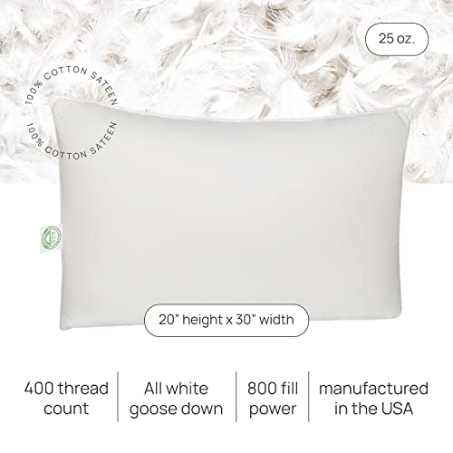 East Coast Bedding Elite European Down Dream Pillow, King, Queen