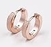 1 Pairs Body/Cartilage/Nose/Lips Stainless Steel Small Hoop Huggie Hinge Earrings (Rose Gold)