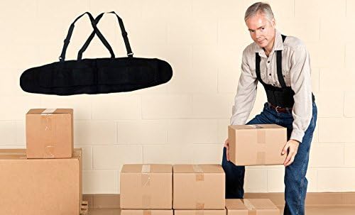 Back Support Belt and Work Support Belt, 1 Unit, Black, Lumbar