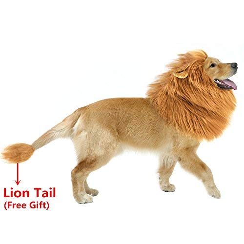 GABOSS Lion Mane Costume for Dog, Lion Wig for Dog Large Pet Halloween