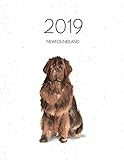 2019 Newfoundland: Dated Weekly Planner With To Do Notes & Dog Quotes - Newfoundland (Awesome Calendar Planners for Dog Owners) by Topwuff Books