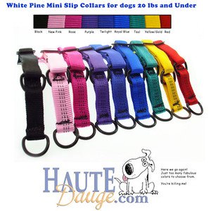 white pine dog collars