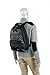 Victorinox Altmont 3.0 Standard Backpack With Multi-Purpose Side Pocket, Black, 17.3-inch