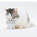 Necoichi Raised Cat Food Bowl – Ceramic Elevated Cat Bowl for Whisker & Neck Fatigue, Dishwasher Microwave Safe – Non-Slip & Anti Vomiting Ergonomic Design (Dots, Mini)