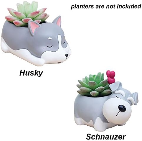 Everyday Better Life 2 PCS Set Cute Animal Shaped Cartoon Home Garden Decoration Succulent Cactus Flower Pot/Plant Pots/Planter/Container
