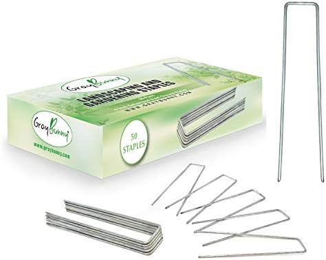 Gray Bunny Garden Landscape Staples