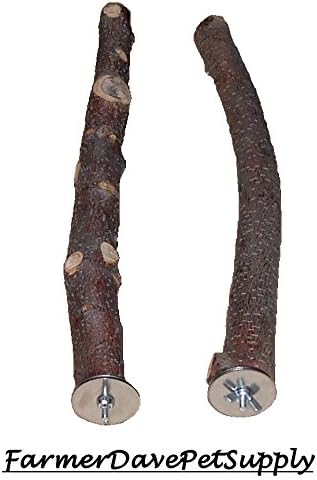 2 APPLE PET CHEWS &amp; BIRD PERCHES,1 x10