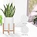 Moutik Wooden Plant Stand Indoor:Mid-Century Modern Plant Holder with 6.5″ White Flower Pot Perfect for Display Mini Cactus Aloe Snake Plant in Outdoor Garden Patio Deskthumb 2