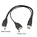 ChenYang USB 3.0 Splitter Y Cable USB 1 Male to 2 Female Extra Power Data Extension Cable for 2.5