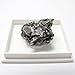Small Hunk of Genuine Campo Del Cielo Iron Meteorite with Full Color Beverly Oaks LLC Certificate of Authenticity Info Card