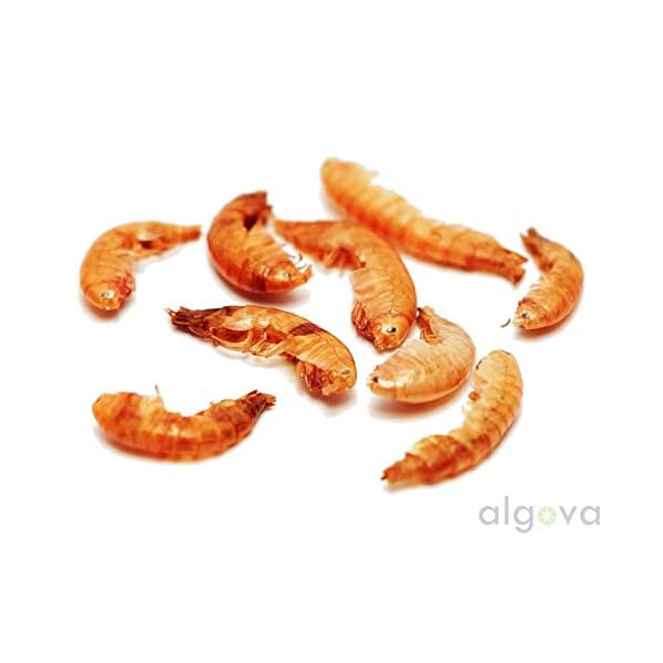 algova Gammarus gamberetti d'Acqua Dolce essiccati - Pesce Cibo Pesci Pesci Rossi Pesci di Stagno Koi - Cibo Tartarughe… algova algova Gammarus gamberetti d'Acqua Dolce essiccati - Pesce Cibo Pesci Pesci Rossi Pesci di Stagno Koi - Cibo Tartarughe…
