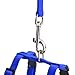 PUPTECK Adjustable Cat Harness and Leash Set Escape Proof Kitten Strap Collar for Walking Travel, Blue