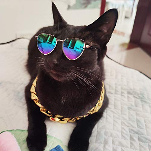 Legendog Cool Cat Dog Costume Fashion Metal Pet Dog Collar Cat Sunglasses Pineapple Print Dog Shirt for Cats and Small Dogs Adjustable Gold Dog Puppy Chain Collar Set (Multicolor1)