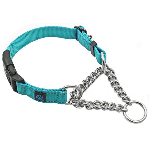 Max and Neo Stainless Steel Chain Martingale Collar – We Donate a Collar to a Dog Rescue for Every Collar Sold (Medium, Teal)