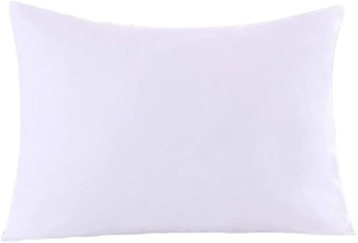 Amazon Com Royal Bedding 2 Pillow Protectors Zippered