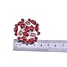ELEGANTPARK AM Women Rhinestones Decoration Wedding Party Shoe Clips 2 Pcs Red