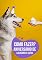 Livro E-book Como fazer? Aniversário de Cachorro | Aniversário de Gato | Aniversário Pet