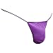 Daniel Alexander Mens Sexy G-String Sheer Pouch Enhancing Low Waist Bikini Lingerie Underwear Purple