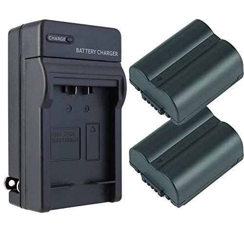 Panasonic CGR-S006A/1B Battery (2-Pack) & Charger Set - Replacement for Panasonic Digital Camera Battery & Charger Kit