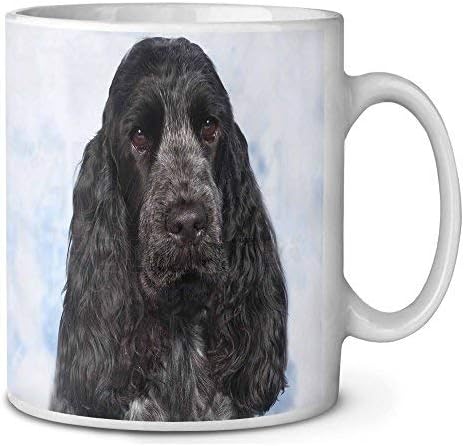 blue roan cocker spaniel gifts
