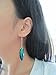 Elegant natural beetle insect wings blue green earrings