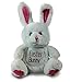 Plush Easter Basket For Baby - Toddler & Kids Of All Ages. Set Includes Plush Easter Bunny, Plush Easter Egg, Plush Easter Chick, Easter Basket
