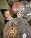 Rose Gold Confetti Balloons Party Decoration Set for Happy Birthday Baby|Bridal Shower Sweet Wedding Pink Bachelorette Engagement Latex Star Foil Pack 18-12 inch