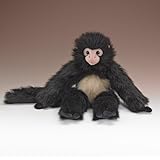 Wildlife Artists Spider Monkey 18