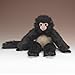 Wildlife Artists Spider Monkey 18