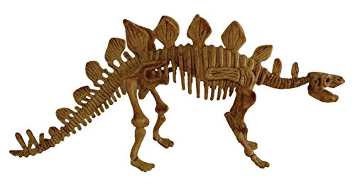 1 Science4you+Excavation+Stegosauros+Educational+Science