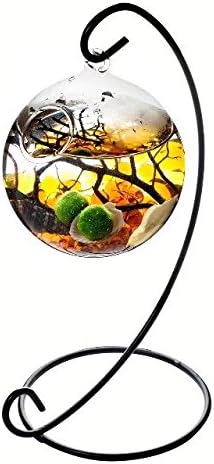 Table Aquarium Kit - 2 x 10 mm Aquatic Living Moss Balls Small Stones of Glass Black Fan Coral Branch in a 3.5" Hanging Orb Terrarium with Bent Metal Stand