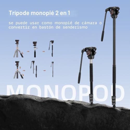 Cayer AF2451 Video Tripod, Aluminum Alloy Video Camera Tripod 74 Inch for Canon Nikon Sony Olympus Panasonic Digital SLR Camera