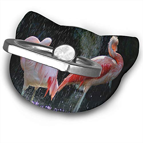 Cell Phone Holder Flamingos Birds Having Shower Cat Type Ring Cell Phone Stand Adjustable 360° Phone Finger Holder for IPad Phone X/6/6s/7/8/8 Plus/7, Galaxy S9/S9 Plus/S8/S7