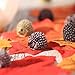 10pcs Landscape Hedgehog Garden Decor