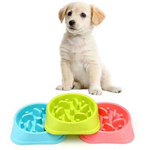 Zonfer Pet Bowl Water Food Bowls for Dog Cat Small Animals Hanging Removable Cage Feeding Stations(Pink)