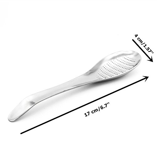ISKYBOB Stainless Steel Garlic/Ginger Grater Grinder Zester Spoon