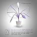 iEGrow Kids desk Lamp for Rooms, Cute Desk Lamp USB Charging Desk Lamp with Pen holder for Home study (Purple)