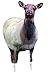 Montana Decoy Eichler Elk