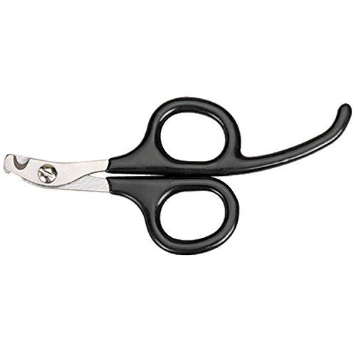 Master Grooming Tools Pet Nail Scissors with Finger Rests-Stainless Steel Scissors for Trimming Nails on Cats and Birds - Small, 3Â½"