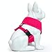 Classic Dog Harness Innovative Mesh No Pull No Choke Design Soft Double Padded Breathable Vest for Eco-Friendly Easy Control Walking Quick Release For Puppies Full size Breeds Large Dogs (Large, Pink)