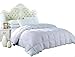 Royal Hotel Bedding Queen Size Light Down-Comforter 650-Fill-Power 100% Cotton Shell 300TC - Stripe White