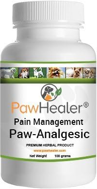 analgesic for dogs