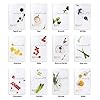 [Pack of 12] EUNYUL Daily Care Face Sheet Mask Pack 12 types Korean Skincare Hydrating & Nourishing Face masks beauty